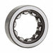 Cylindrical Roller Bearing 160 mm OD
