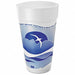 Disp Hot/Cold Cup 20 oz White/Blue PK500