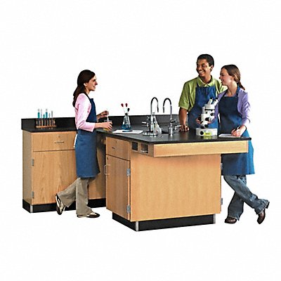 Laboratory Tables Workbenches and Surfaces