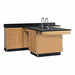 Laboratory Tables Workbenches and Surfaces