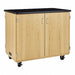 Laboratory Cabinets