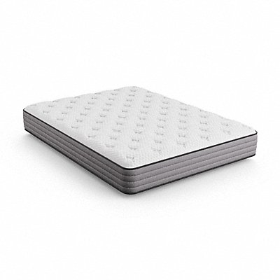 Bed Mattresses