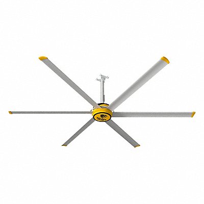 Ceiling Fans