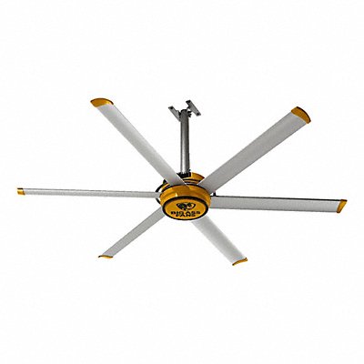 Ceiling Fans