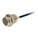 Proximity Sensor 10 to 30 V DC 80 mm L