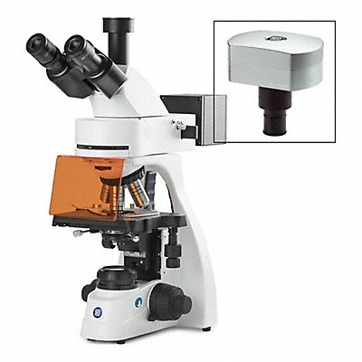 Microscopes