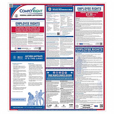 Federal Labor Law Poster English