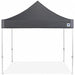 Shelter Gray 10 ft W 10 ft L