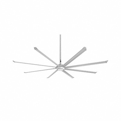Ceiling Fans