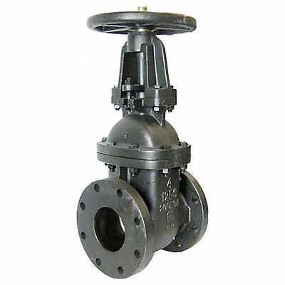 Gate Valve Class 125 3 in Flange