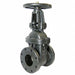 Gate Valve Class 125 6 in Flange