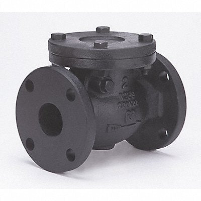 Swing Check Valve Iron 2-1/2 Flange