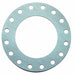 Flange Gasket Full Face 12 Pipe