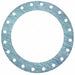 Flange Gasket Full Face 20 Pipe