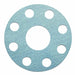 Flange Gasket Full Face 2 Pipe