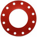 Flange Gasket Full Face 10 Pipe