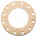 Flange Gasket Full Face 8 Pipe