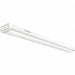 Low Profile Wraparound Fixture 4ft L 55W