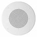 Audio and Public Address Speakers and Speaker Driv