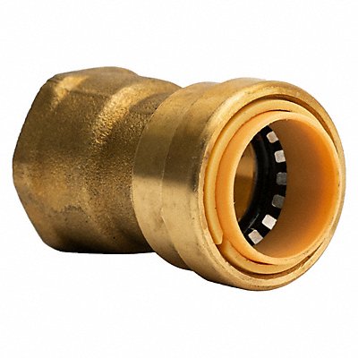 Brass FNPT Adapter