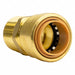 Brass MNPT Adapter