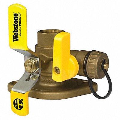 Rotate Flang Ball Valve w/Drain 1In