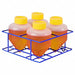 Clamp Tube Rack Conical Bottles