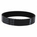 Timing Belts