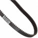 Timing Belts