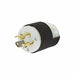 Locking Plugs