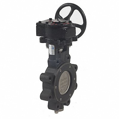 Butterfly Valve Lug 12 in Carbon Steel