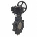 Butterfly Valve Lug 12 in Carbon Steel