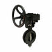 Butterfly Valve Wafer 12 In Carbon Steel