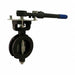 Butterfly Valve 6 In RPTFE Liner Lever