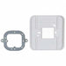 Cover Plate White 4 3/4x4 3/4in