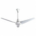 Ceiling Fans