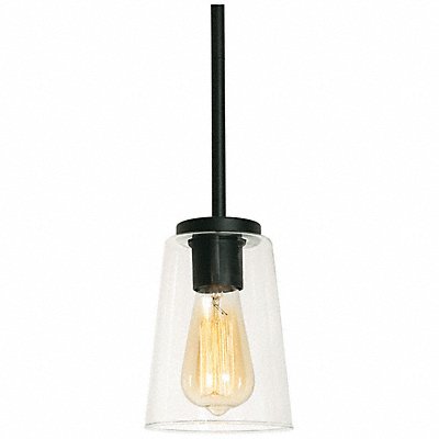 Light Pendant 120 V 60 W 7 1/4 L