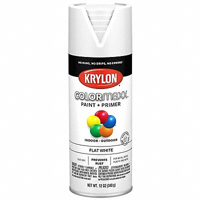 Spray Paint Flat White 12 oz