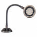 Spot Light Gooseneck 18 W Black