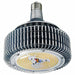 Screw-In Retrofit 400W HID Color 5000K