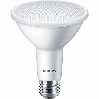 Compact LED Light Bulbs and Lamps