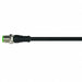 Cordset Straight M12 Black 22 AWG 4A