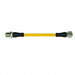 Cordset Straight M12 Yellow 22 AWG 4A