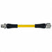 Cordset Straight M12 Yellow 16 AWG 12 A