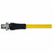 Cordset Straight M12 Yellow 16 AWG 12 A