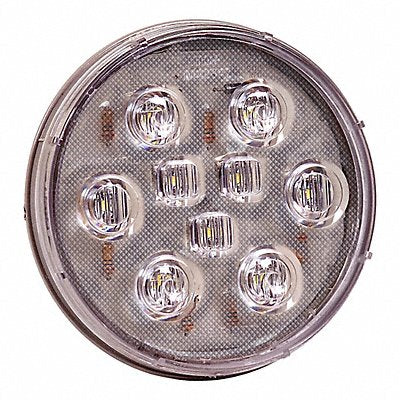 Back-Up Light Clear Oval 0.5 A