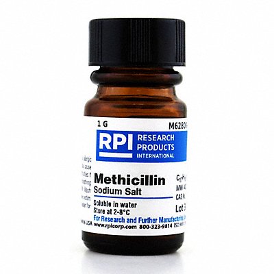 Methicillin Sodium Salt 1g