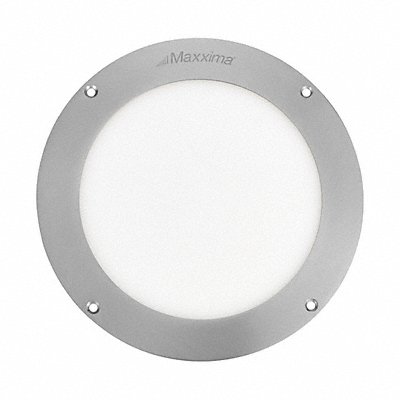 Vehicle Dome and Courtesy Lights