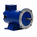 DC Permanent Magnet Motors