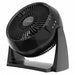 Power Circulator Fan Black 15-1/4 in H